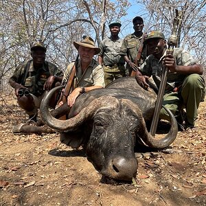 Buffalo Hunt Mozambique