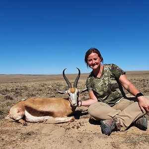 Springbok Hunting South Africa