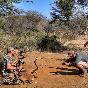 Bow Hunting Impala South Africa