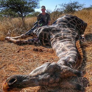 Giraffe Crossbow Hunting South Africa