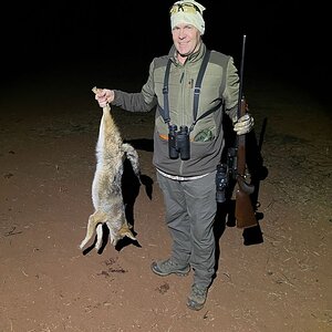 Jackal Hunting Limpopo Povince South Africa