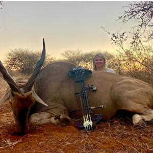 Bow Hunting Eland South Africa