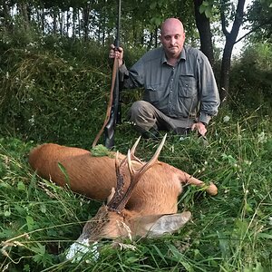 Roe Deer Hunting Romania