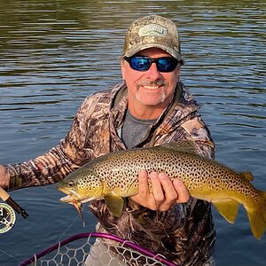 Fishing Brown Trout