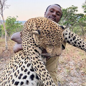 Leopard Hunting