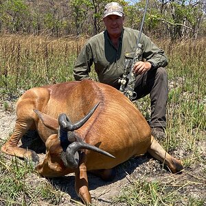 Lichtenstein Hartebeest Hunt Tanzania