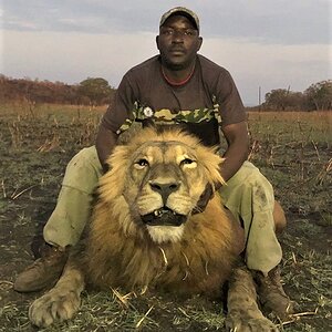 Lion Hunting Matetsi Zimbabwe