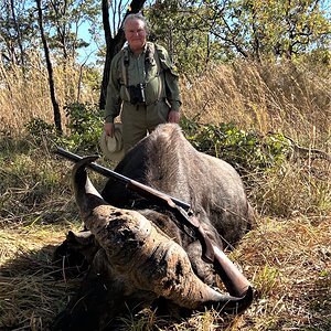 Buffalo Hunt Tanzania