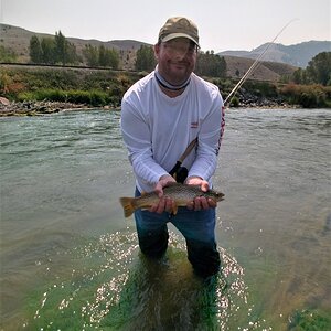 Trout Fishing Jefferson River Montana