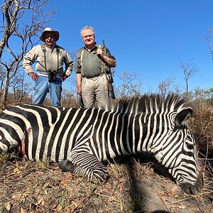 Zebra Hunt Tanzania