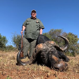 Cape Buffalo Bull Hunt South Africa