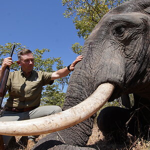 Elephant Hunt Zimbabwe