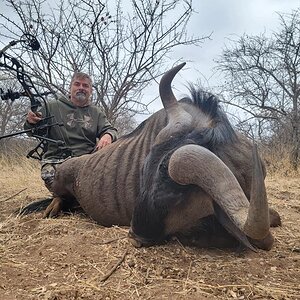 Blue Wildebeest Bowhunt