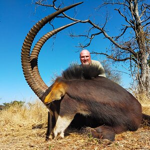 Sable Hunting Limpopo South Africa