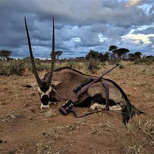 Gemsbok Hunting Namibia