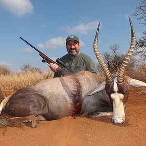 Blesbok Hunt South Africa