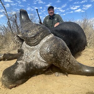 Buffalo Hunt South Africa | AfricaHunting.com