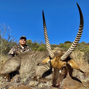 Waterbuck Hunting South Africa