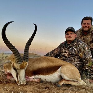 Springbok Hunting South Africa