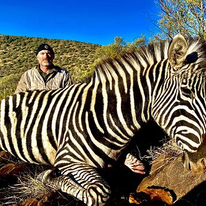 Zebra Hunting South Africa