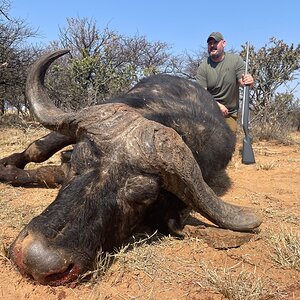 Buffalo Hunt Northwest Province South Africa