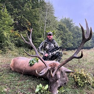 Red Stag Hunting Romania