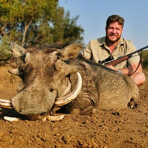 Warthog Hunt South Africa