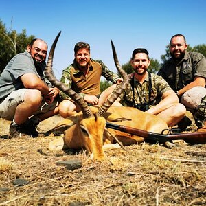 Impala Hunt South Africa