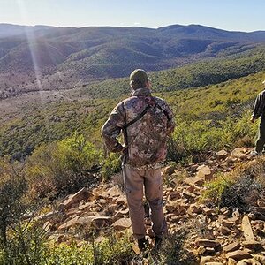 Scenery Karoo South Africa