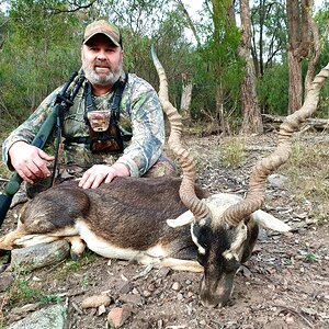 Blackbuck Hunt Australia