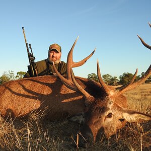 Red Stag Hunt South Australia