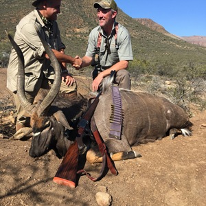 Nyala Hunting