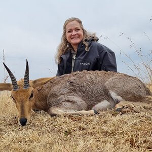 Mountain Reedbuck Hunt South Africa