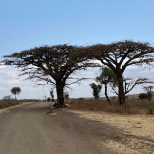 Scenery Burko Masailand Tanzania