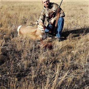 Alberta Pronghorn Hunt