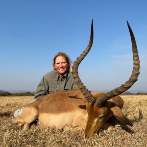 Impala Hunt South Africa