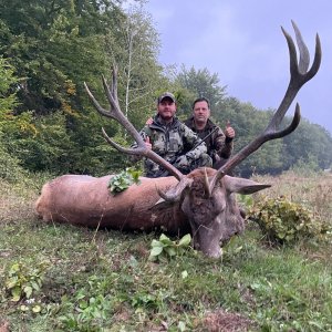 Red Stag Hunting Romania