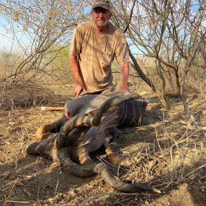 Lesser Kudu Hunt Tanzania