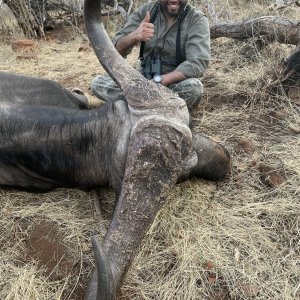 47 inches Buffalo