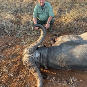 Buffalo Hunting Zimbabwe