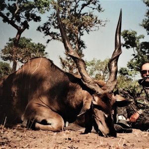 Hunting Lord Derby Eland in Central African Republic