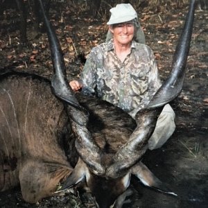 Hunting Lord Derby Eland in Central African Republic