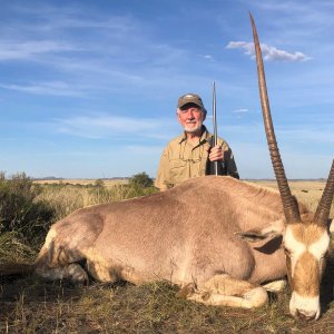 Golden Gemsbok Hunt Karoo South Africa