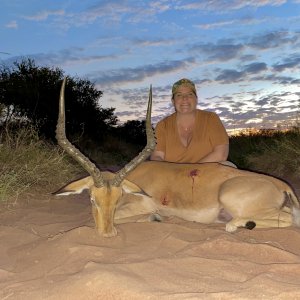 Impala Hunt South Africa