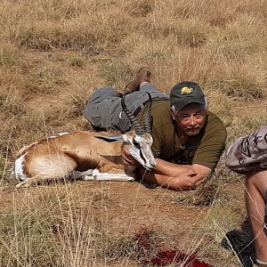 Springbok Hunt South Africa