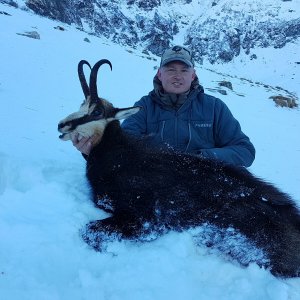 Hunting Chamois Romania