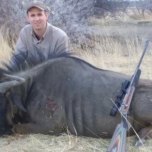 Blue Wildebeest Hunt