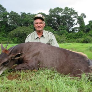 Hunting Yellow-backed Duiker Central African Republic