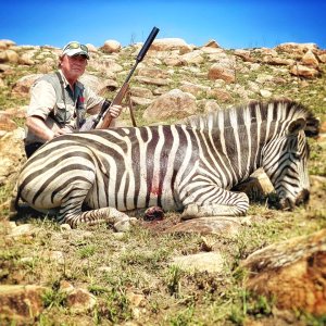 Zebra Hunt Eastern Cape South Africa