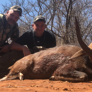 Bushbuck Hunting South Africa